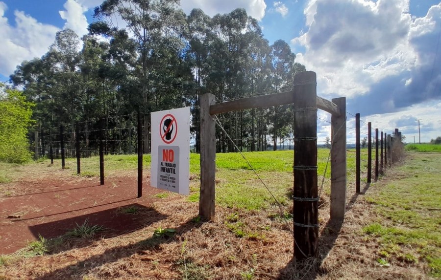 Yerba mate libre de trabajo infantil