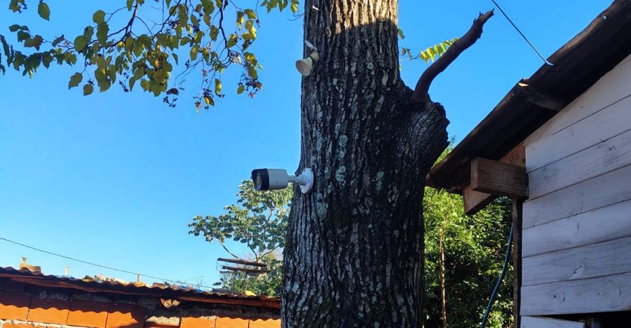 Posadas: La Policía de Misiones desmantela sistema ilegal de videovigilancia usado por bandas criminales para eludir a la fuerza de seguridad