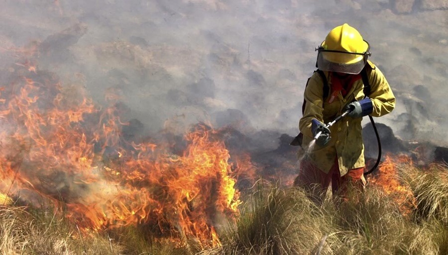 Los incendios, una preocupación que vuelve a ganar fuerza con varios focos activos en el país