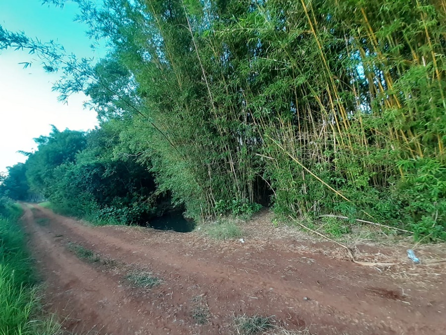 Misiones: Investigan la muerte de un joven de 20 años en el Municipio de Azara, cuyo cuerpo sin vida fue hallado&nbsp;en un canal de agua ubicado en una zona de monte detrás de un barrio