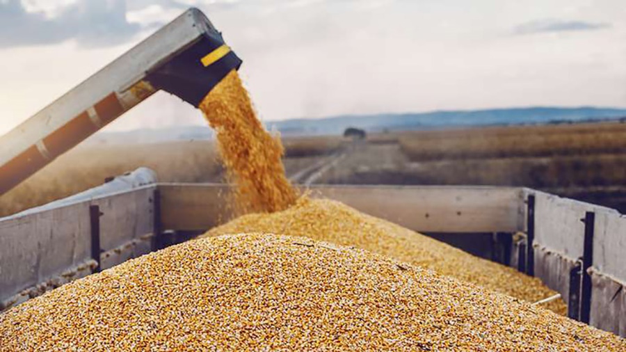 Por la sequía y menores precios internacionales, subió la participación del Estado en la renta de los productores