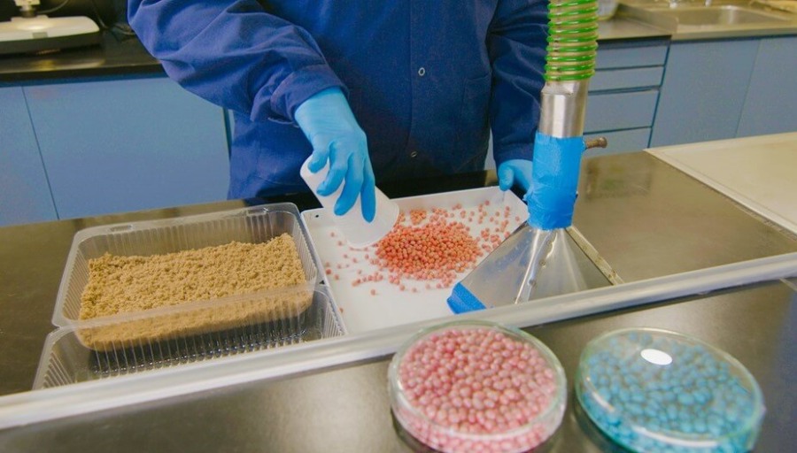 Luz roja para la soja: “Tan alta carga de patógenos fúngicos en semillas no se daba desde hace más de 20 años”