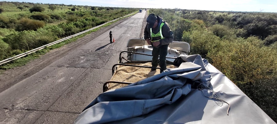 Gendarmería Nacional secuestró 150 toneladas de granos