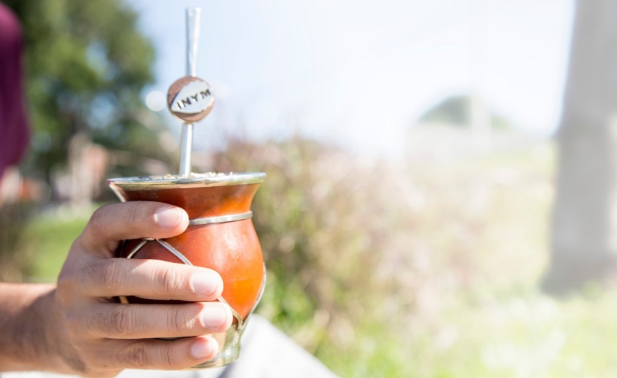 Las ventas de yerba mate alcanzaron los 24,5 millones durante el mes de Enero, a salida de molinos alcanzó la cifra de 24.536.466 kilos y fue lo mejor de la década