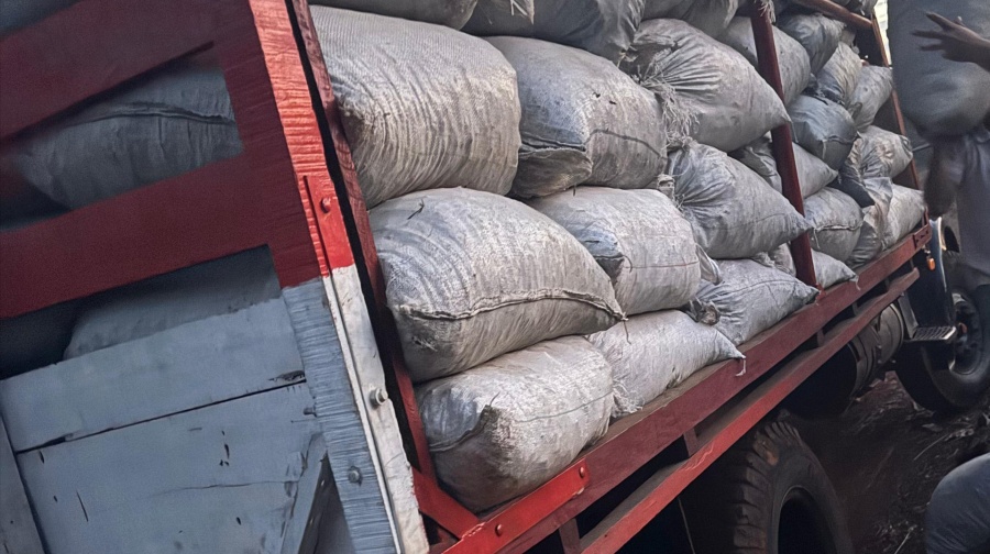 Misiones: El INYM intervino e inutilizó más de 5.000 kilos de palitos de yerba mate que eran transportados en un camión en un procedimiento en Colonia Guaraní
