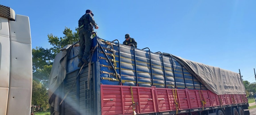 Secuestraron 420 toneladas de granos de soja: Gendarmería Nacional Argentina procedió, que fueron producto de sucesivos procedimientos durante el fin de semana