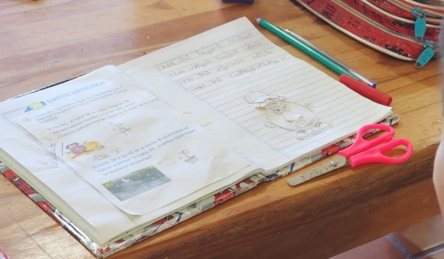 Apóstoles: Clases de Apoyo para estudiantes primarios previo a la vuelta a la escuela