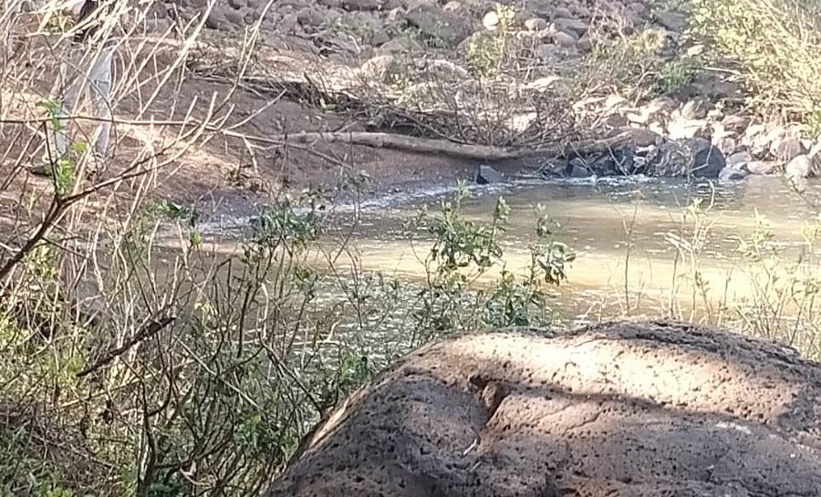 Hallaron el cuerpo de la joven de 25 años que cayó en el Arroyo Once Vueltas del Municipio misionero de Mojón Grande