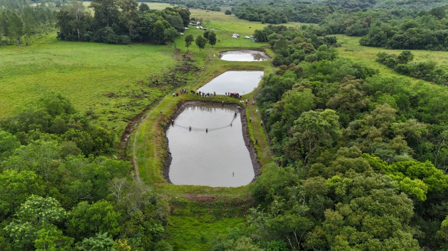 Zona sur de la provincia de Misiones: Jornada de cosecha y venta de peces a pie de estanque, los visitantes podrían elegir las variadas de especies, entre ellas carpas y pacúes