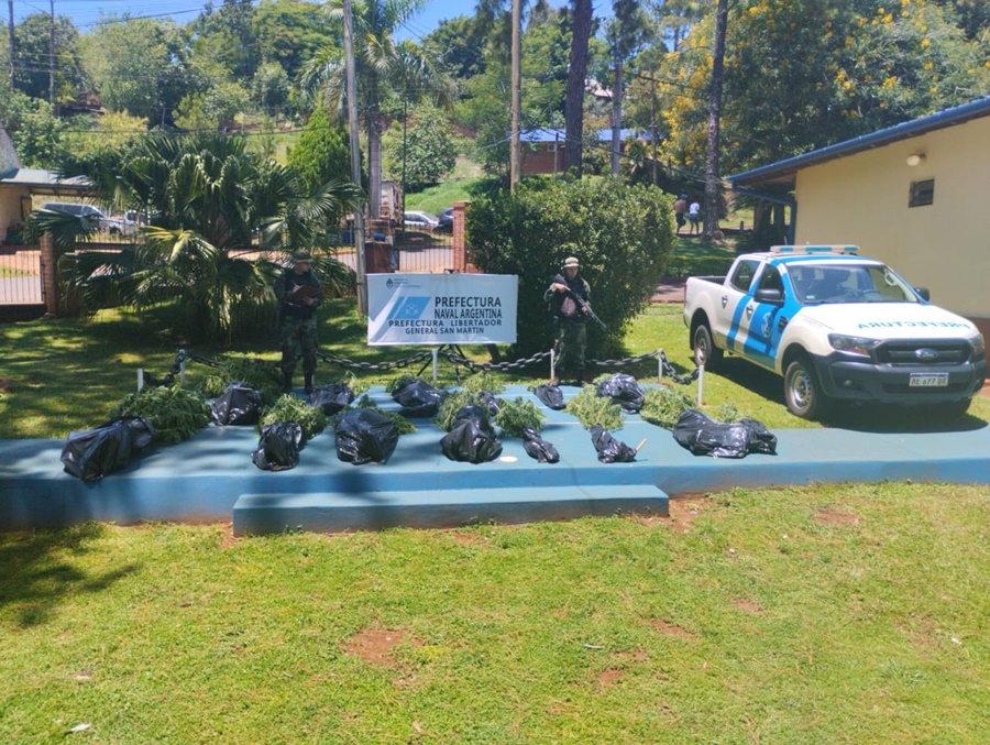 Misiones: Prefectura Naval secuestró más de cuarenta kilos de plantas de marihuana