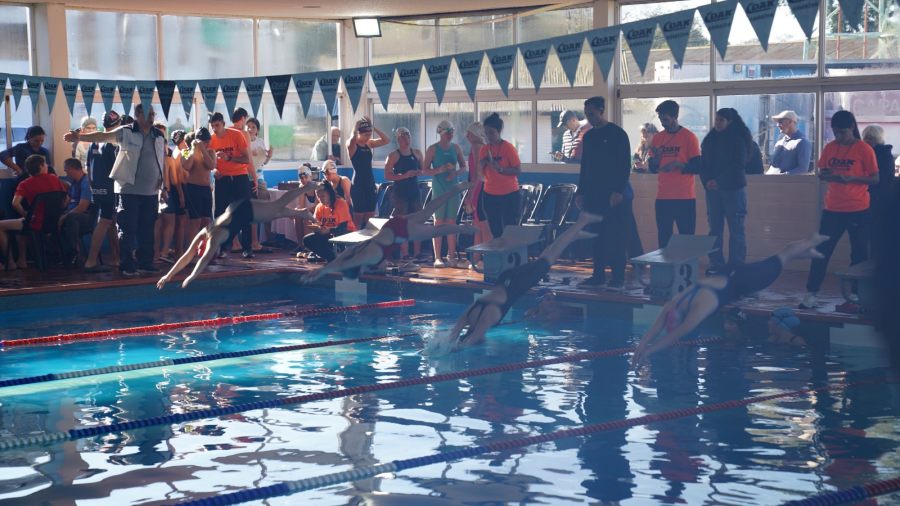 Apóstoles: Primer Torneo Aniversario de la Pileta Climatizada en el predio de la Expo Yerba, generando una verdadera fiesta deportiva