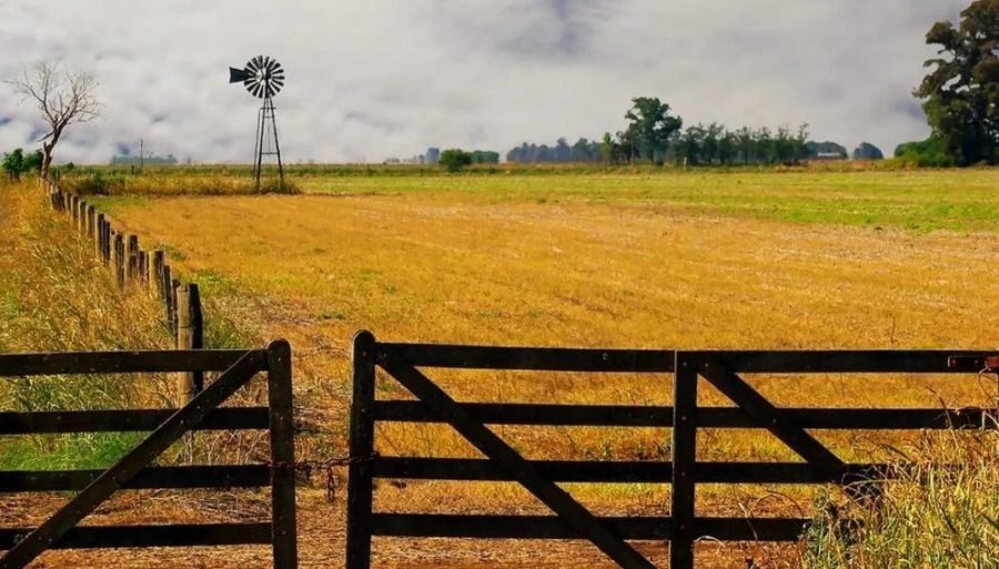 Cultivar la tierra en Argentina, un negocio de “terceros”: El 70% se hace en campos alquilados