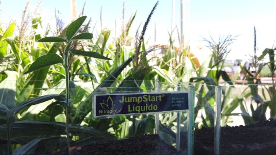 Novozymes y UPL refuerzan su alianza en Expoagro