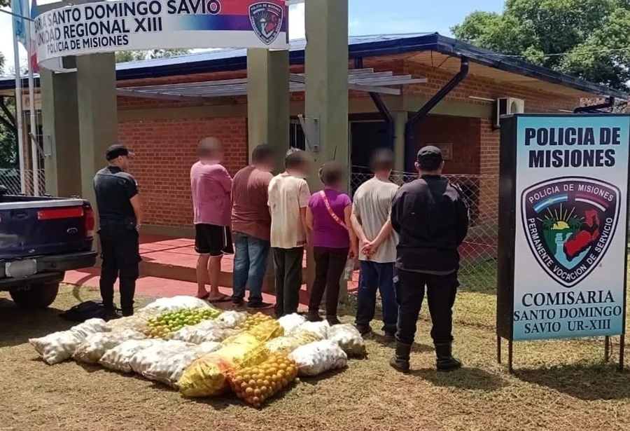 Misiones: Detuvieron a ocho hombres y una mujer por delitos contra la propiedad perpetrados en distintas localidades de la provincia