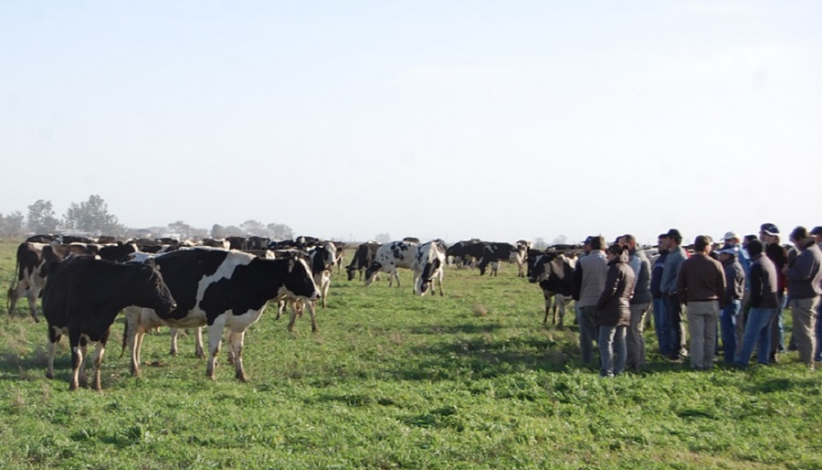 Impacto de la devaluación de Diciembre 2023 sobre los costos de producción de leche