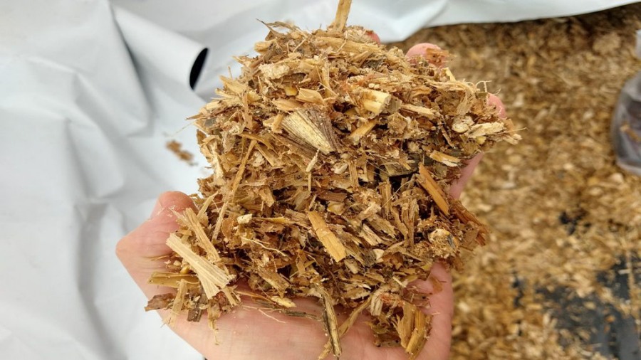 Pautas para elaborar y optimizar los silajes de maíz de la campaña pasada