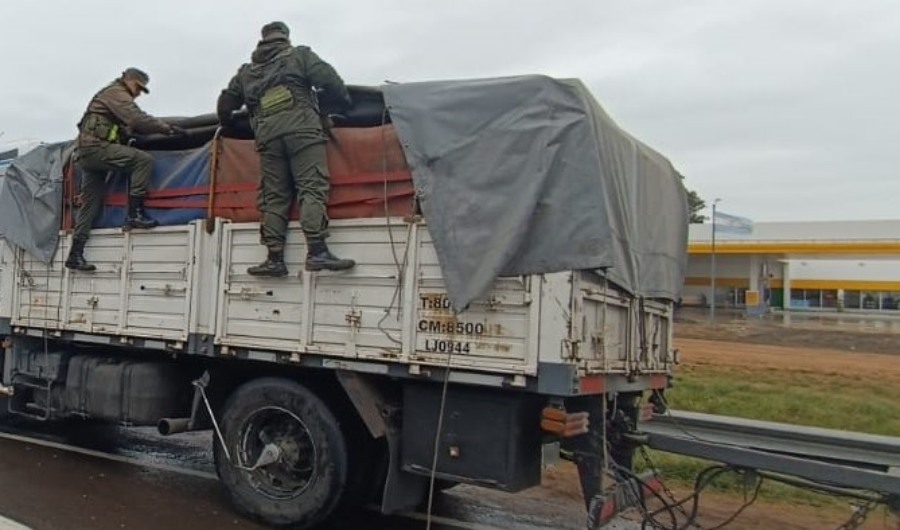 Gendarmería Nacional secuestró 125 toneladas de granos, las oleaginosas eran trasladadas por tres camiones