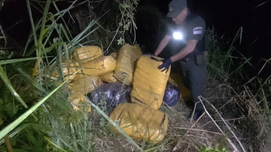 Gendarmería Nacional secuestró más de una tonelada de marihuana: Fue el resultado de operaciones llevadas a cabo en la provincia de Misiones