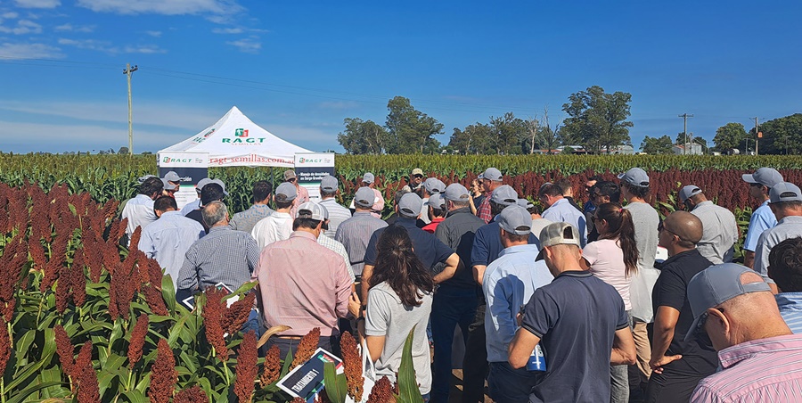 Expo RAGT, la producción rentable tiene un lugar central para el sorgo