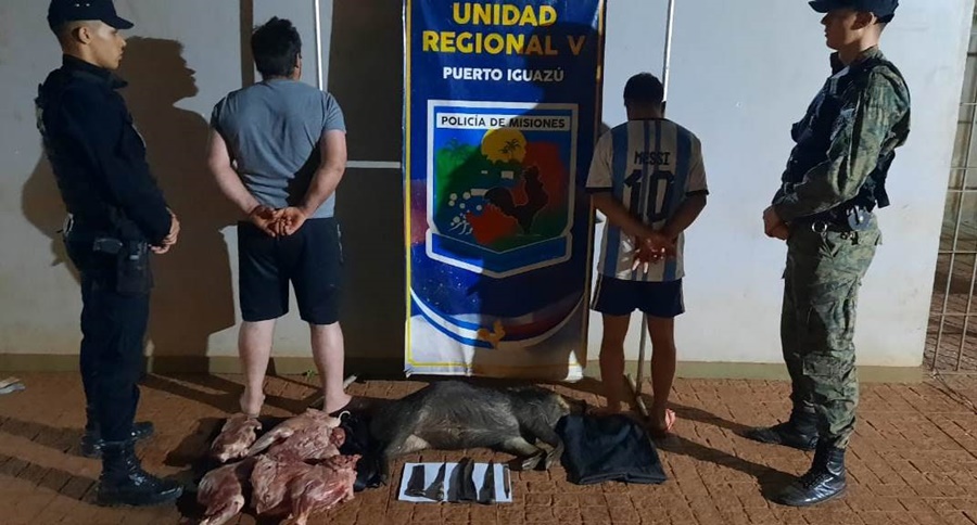 Misiones: En un control la Policía Provicial se detectó que dos individuos transportaban carne faneada de animales autóctonos