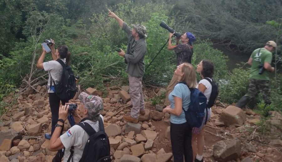 Misiones: Se relevó más de un centenar de aves en el Corredor Turístico Colonia Chapá
