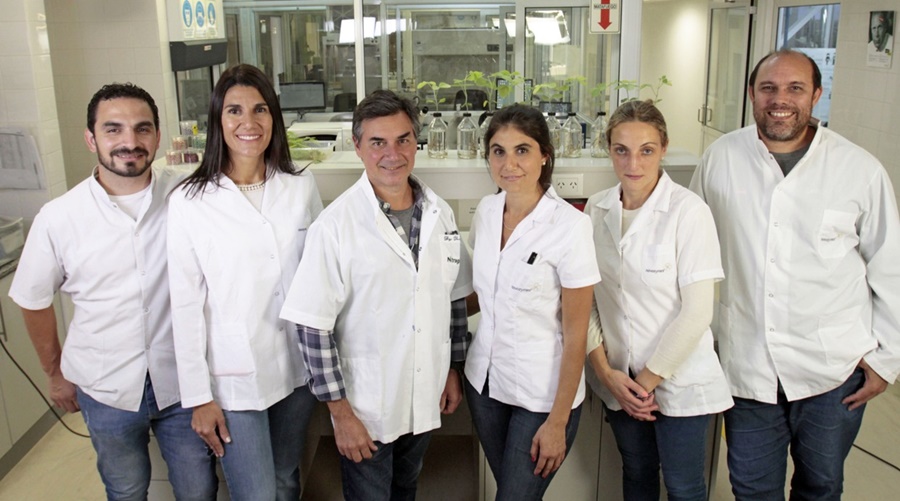 Ciencia argentina mejora la logística de la siembra de soja en Brasil