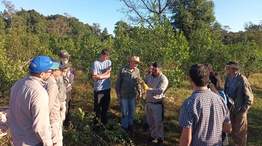 Capacitación sobre técnicas de cosecha