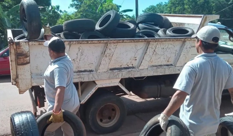 Posadas: Trabajos para erradicar criaderos de mosquitos en gomerías