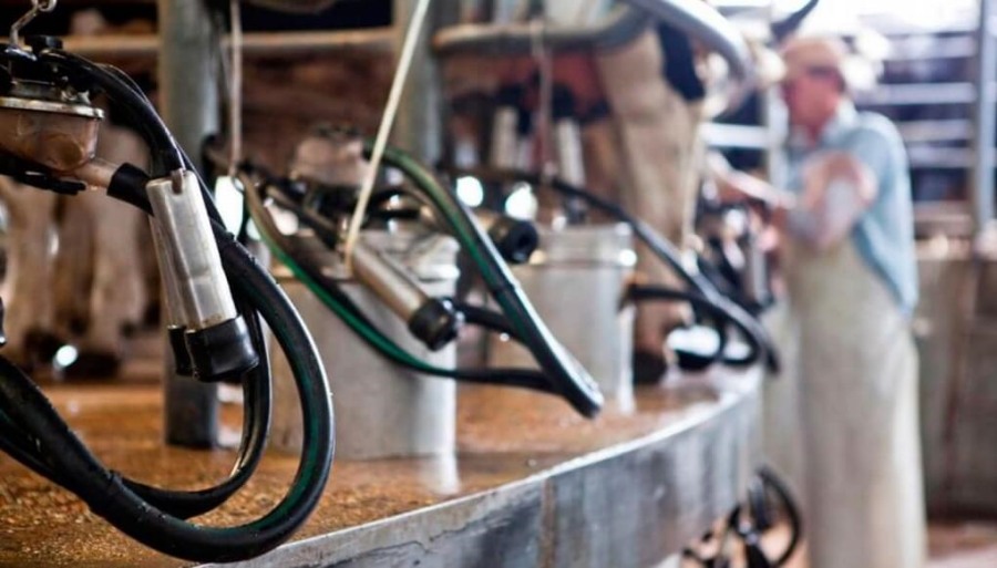 Un aire fresco para los tambos: Por primera vez en cinco años, tuvieron más de 5% de rentabilidad, no se lograba desde Junio de 2019