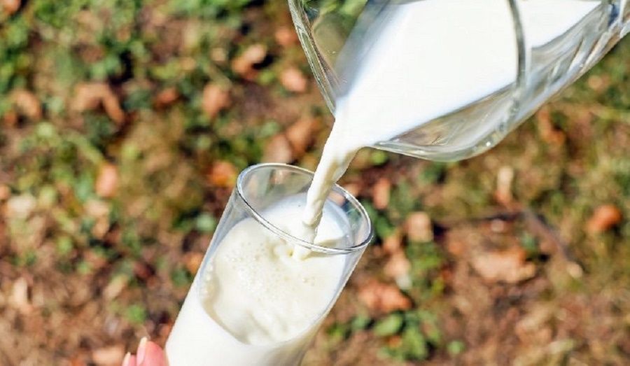 Nutrición: Desarrollan un nuevo producto lácteo fortificado con calcio