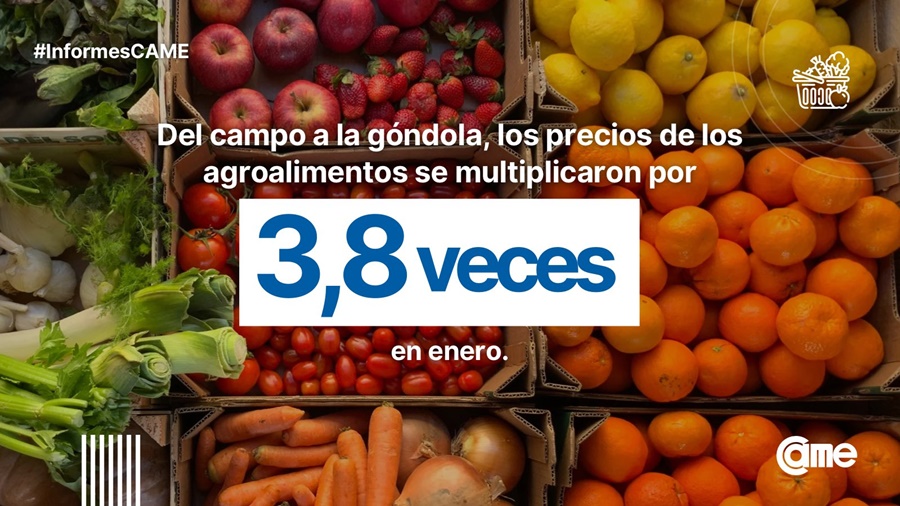 Índice de Precios en Origen y Destino en Enero: el año comenzó con una brecha de precios campo-góndola de 3,8 veces