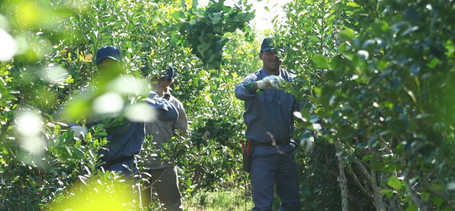 A partir de Marzo se modifican las condiciones de los productores RENAF con relación al Convenio de Corresponsabilidad Gremial