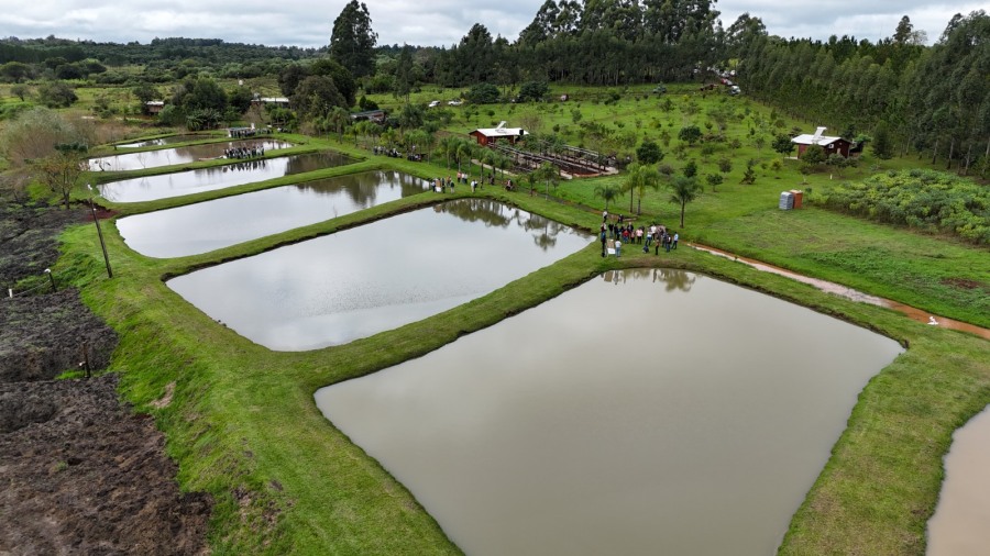 Misiones: La Primera Fiesta del Pescado de Cultivo dejó un fuerte impacto económico en el Municipio de Apóstoles y la región