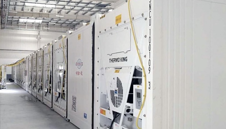 Ya están en Argentina los contenedores que son “auténticas cámaras frigoríficas móviles”