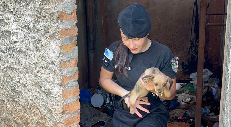 Oberá: Rescataron a una cachorra atrapada en un tanque, que estaba deshidratado y sospechan que pedían recompensa para devolverla