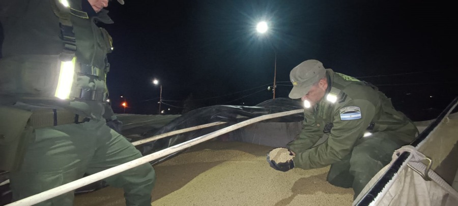 Gendarmería Nacional secuestró 92 toneladas de granos: Las oleaginosas eran trasladadas por tres camiones