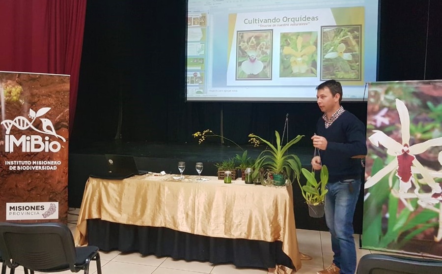 Misiones: Se realizaron con éxito los talleres sobre orquídeas misioneras, para aprender y proteger las especies en Leandro N. Alem y Apóstoles