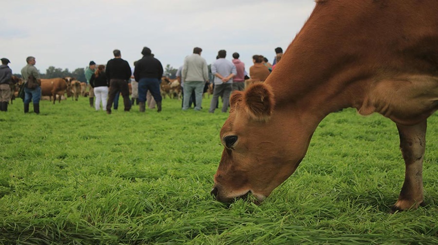 Córdoba: Productores lecheros autoconvocados de la localidad de Ucacha se manifestarán este  viernes