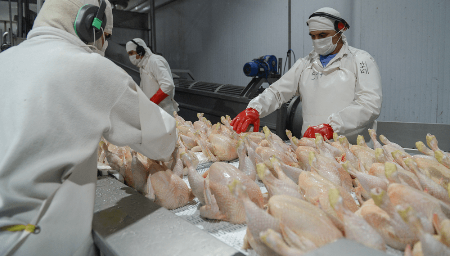 Celebra la cadena de la carne aviar: China reabrió su mercado para las exportaciones argentinas