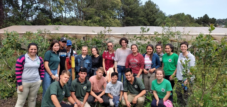 Misiones: Jornada yerbatera con jóvenes de la Escuela de la Familia Agrícola Jesús de Galilea en Dos de Mayo