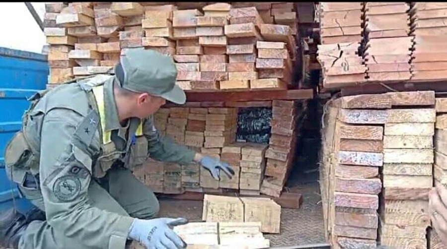 Camión cargado con tablones de madera ocultaba casi siete mil kilos de marihuana