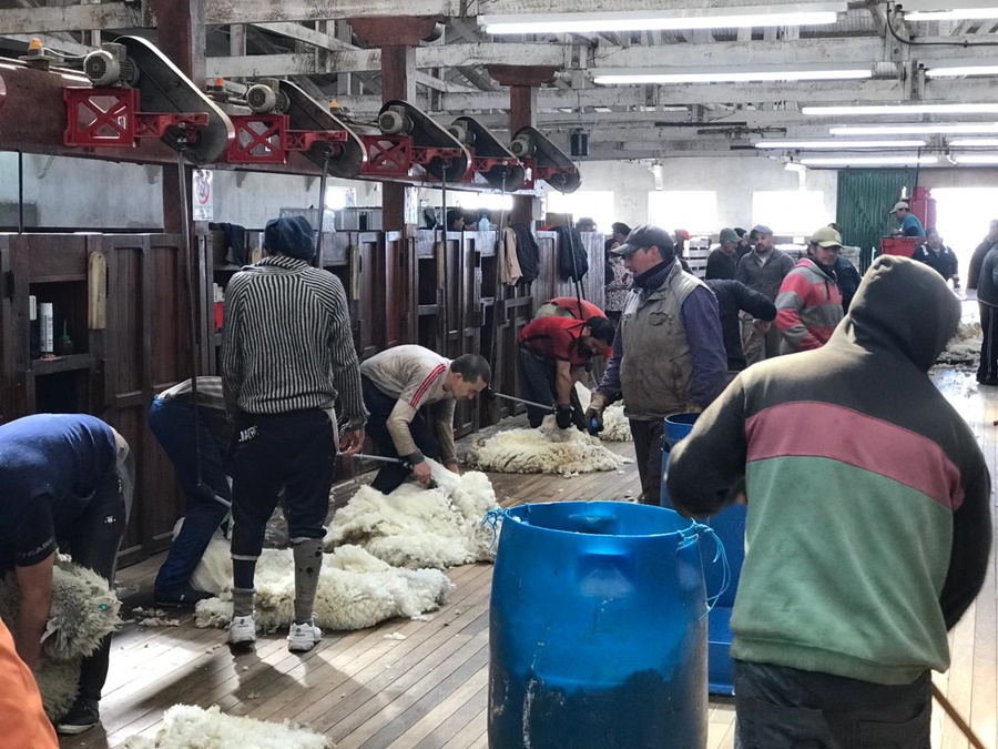 Aumentan las prestaciones por desempleo hasta un 20% para trabajadores rurales de zonas desfavorables