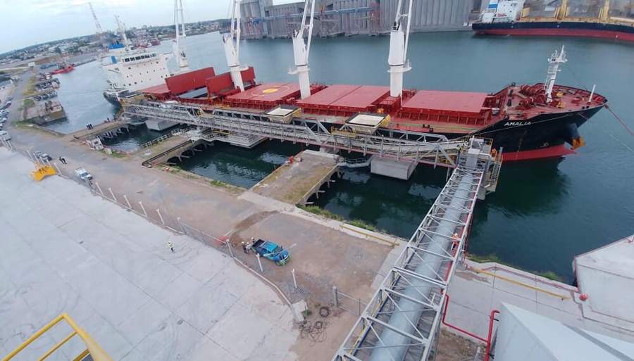 Trigo: Las exportaciones comenzaron con el peor registro desde 2015