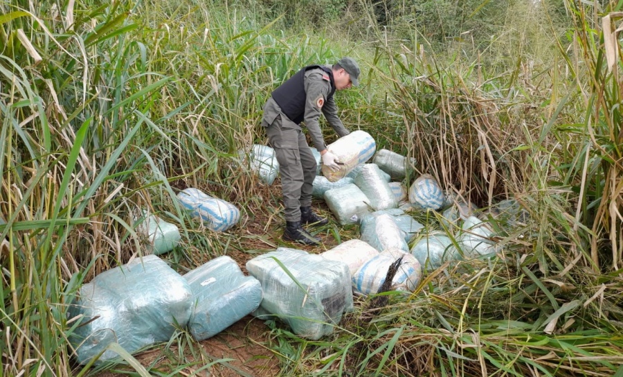 Media tonelada de marihuana se encontraba oculta entre malezas: Bultos conteniendo la sustancia vegetal fueron hallados por efectivos de Gendarmería Nacional