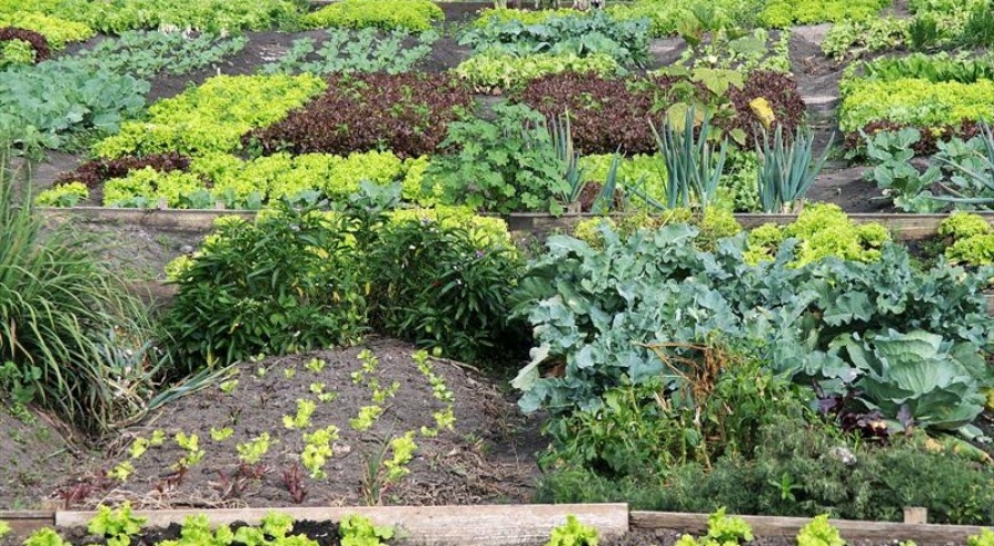 “La basura es un problema cultural y se puede resolver de manera muy simple”