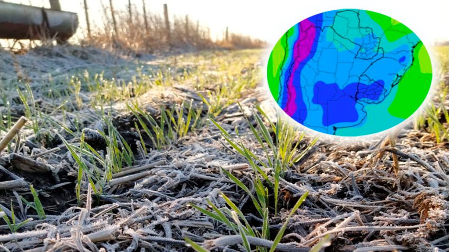 El frío polar y las heladas extendidas se mantendrían hasta inicios de Julio en la región núcleo