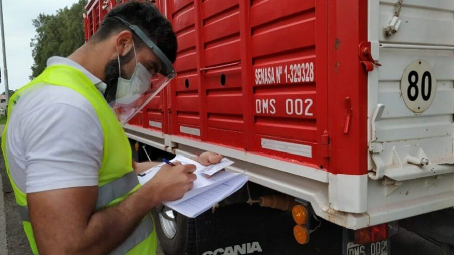 Nueva habilitación para el transporte de animales, la hacienda también viajará en bitrenes