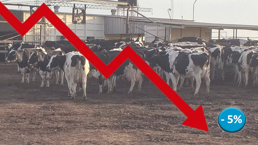 Argentina: El precio de equilibrio de un litro de leche trepó a 135 pesos