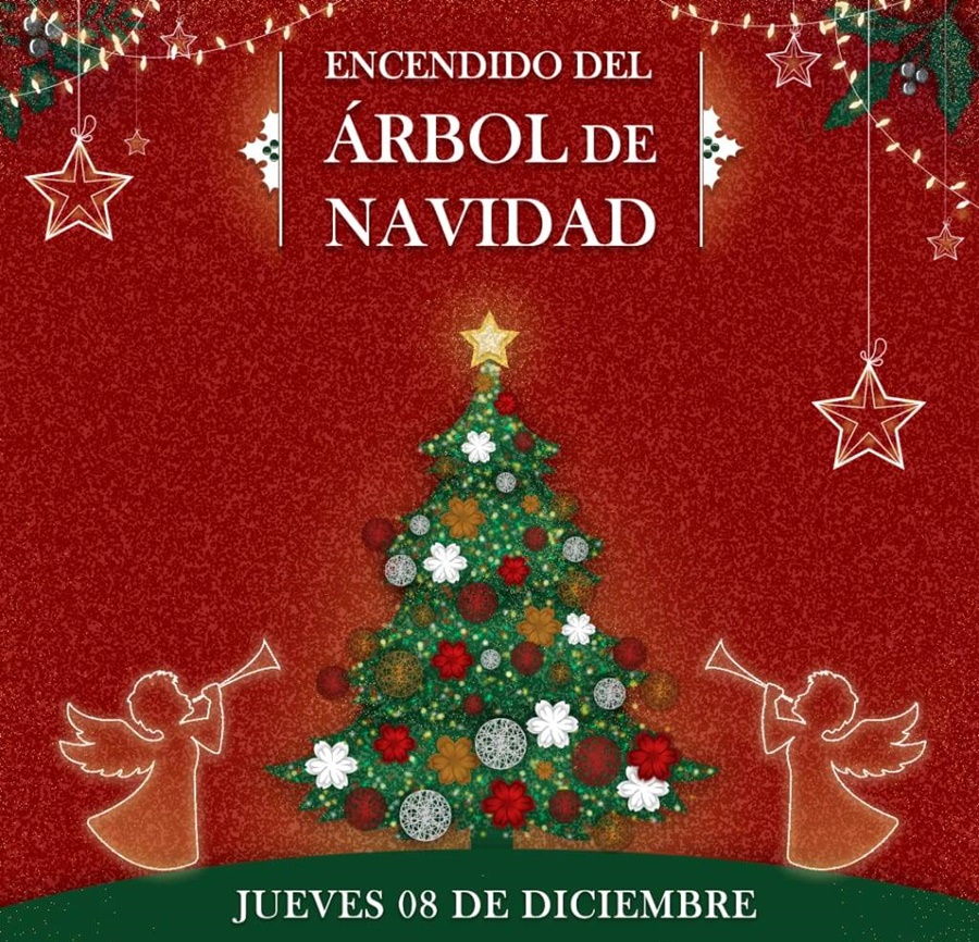 Encendido del Árbol de Navidad en Apóstoles