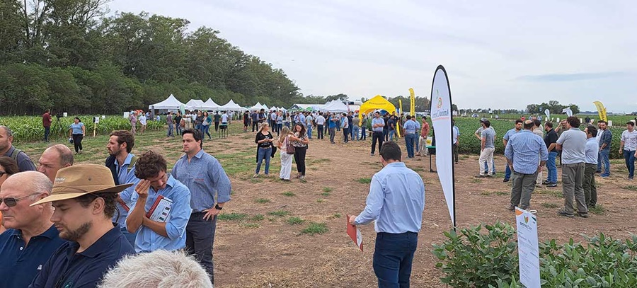 Córdoba: El Tercer Encuentro Nacional sobre Producción con Biológicos y Estrategias Sustentables que tendrá lugar en el Campus de la Universidad Nacional de Villa María en Febrero 2024